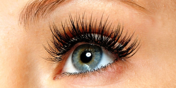 Eye Lashes